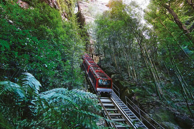 Intimate Blue Mountains Wild Kangaroos & Sunset for Nature Lovers - FAQ