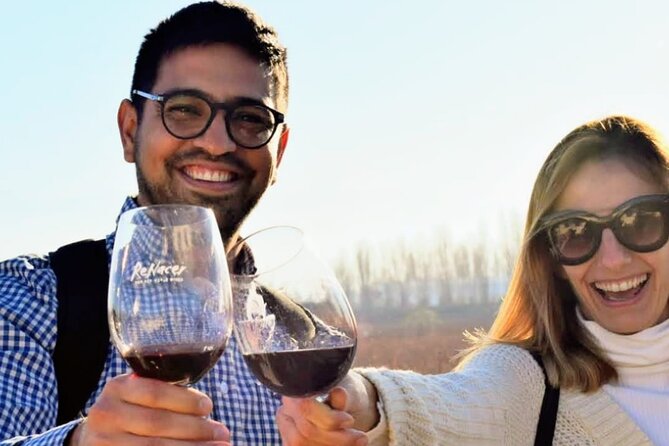 Intimate Wine Tour With Wine Pairing Lunch - Key Points