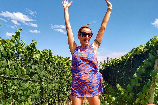 Intimate Wine Tour With Wine Pairing Lunch - Tour Overview