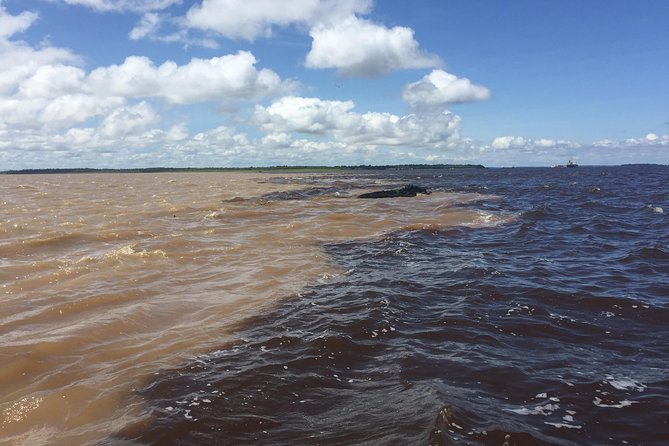 Into the Amazon Jungle 5D/4N at Amazon Tapiri Floating Lodge - Recap