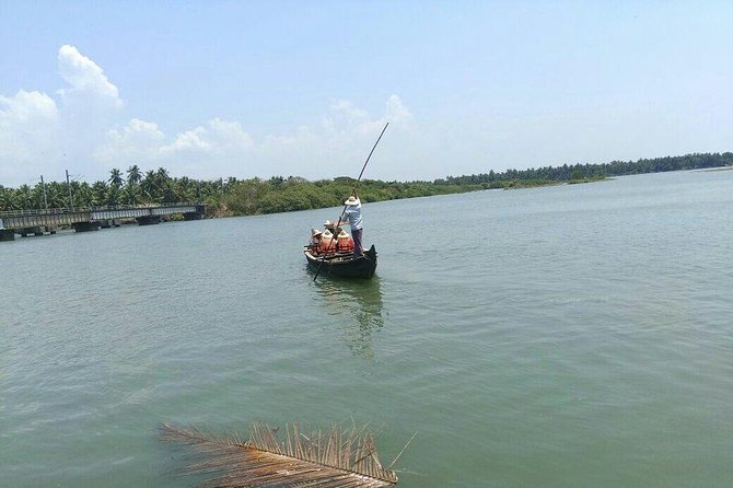 Into the Mangroves: Calicut Mangrove Trail by Tyndis - Reviews and Ratings