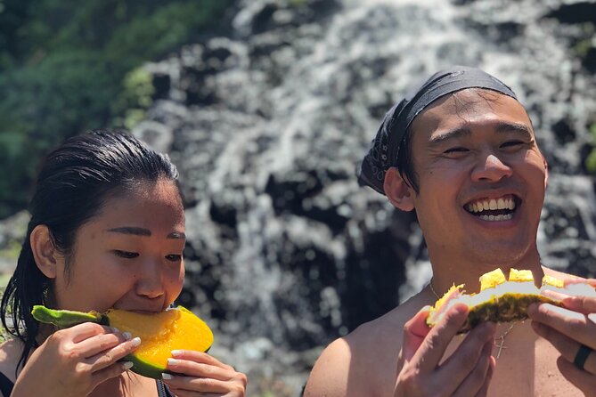 Into the Mountains-Hiking, Waterfalls & Coffee-Full Day Adventure From San Juan - Participant Feedback