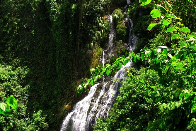 Into the Mountains-Hiking, Waterfalls & Coffee-Full Day Adventure From San Juan - Adventure Awaits