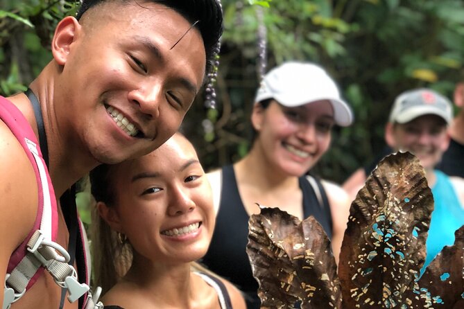 Into the Mountains-Hiking, Waterfalls & Coffee-Full Day Adventure From San Juan - Natural Wonders