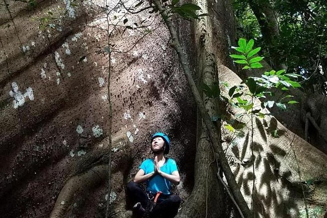 Into the Mountains-Hiking, Waterfalls & Coffee-Full Day Adventure From San Juan - Cultural Immersion