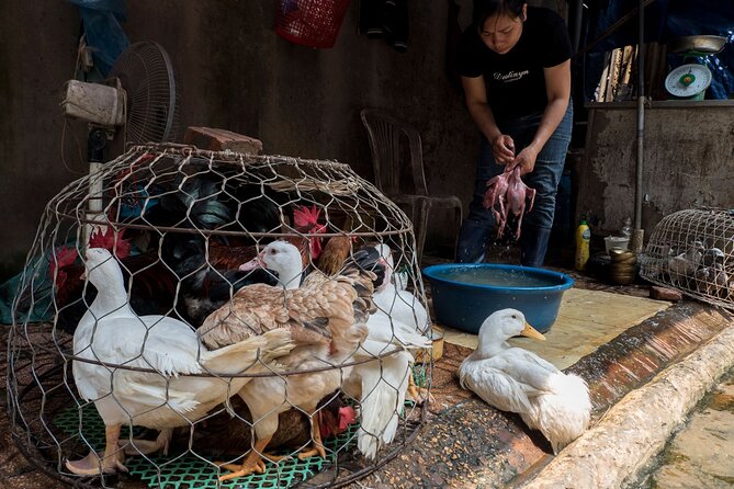 Into the Thieves Market Hanoi Photo Tour - Photography Experience