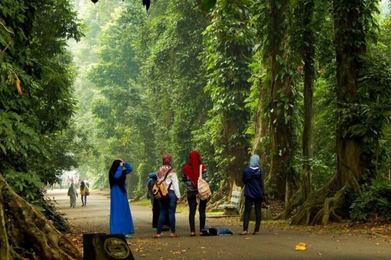 Into The Wild Tour - Puncak Bogor