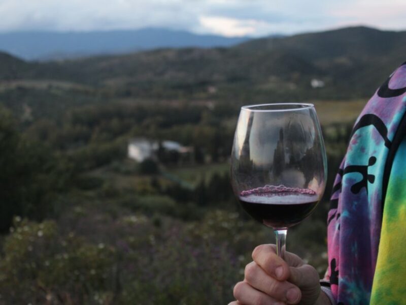 Into the World of Natural Wine - A Journey From Farm to Glass