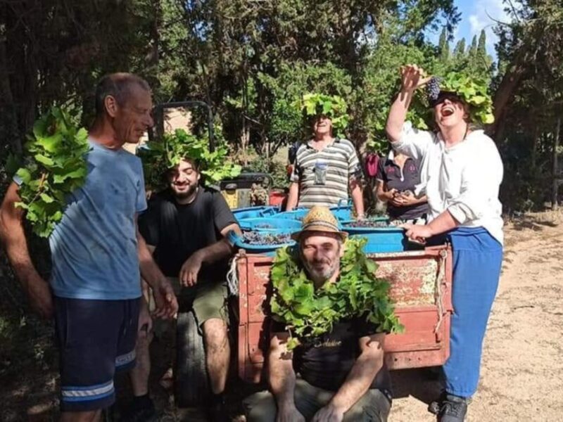 Into the World of Natural Wine - Relaxing in Natures Embrace