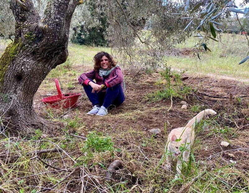 Into the World of Sardinian Wild Herbs - Culinary Delights With Wild Herbs