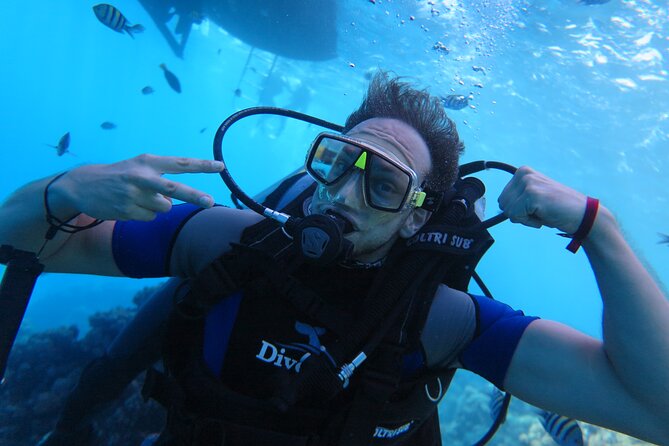 Intro Diving 2 Stops for Beginners With Pick-Up and Lunch - Hurghada - Lunch and Refreshments