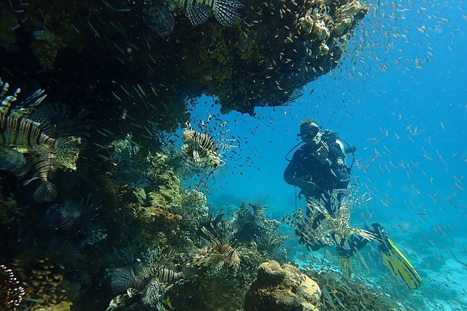 Intro Diving 2 Stops for Beginners With Pick-Up and Lunch - Hurghada - Cancellation Policy