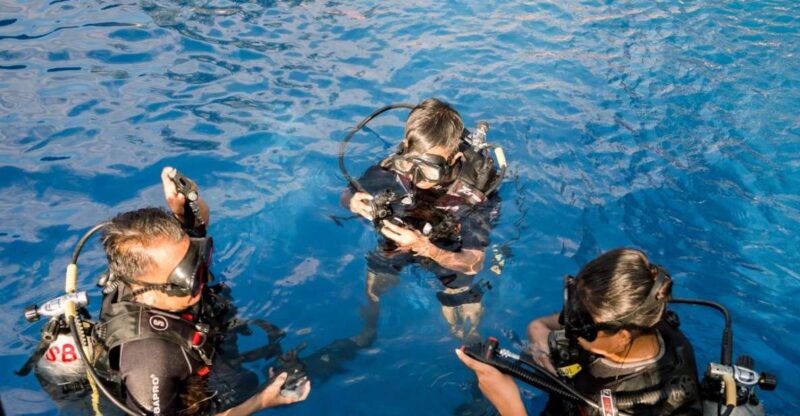 Intro Diving at Swimming Pool - Key Points