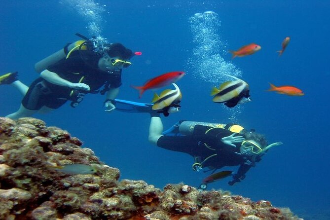 Intro Diving for Beginners 2 Stops Diving With Lunch in Hurghada - Lunch, Coffee, and Refreshments
