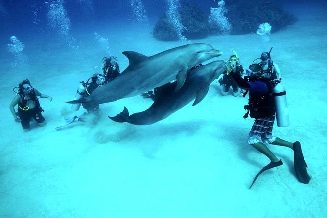 Intro Scuba Diving Beginners Full Day Boat Trip 2 Stops Diving & Lunch– Hurghada - Key Points