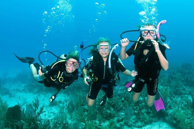 Intro Scuba Diving Beginners Full Day Boat Trip 2 Stops Diving & Lunch– Hurghada - Diving Equipment Provided