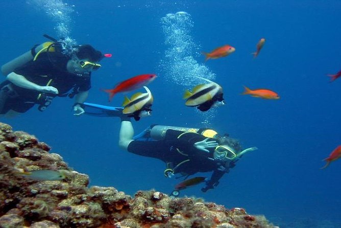 Intro Scuba Diving Beginners Full Day Boat Trip 2 Stops Diving & Lunch– Hurghada - Pickup and Drop-off Details