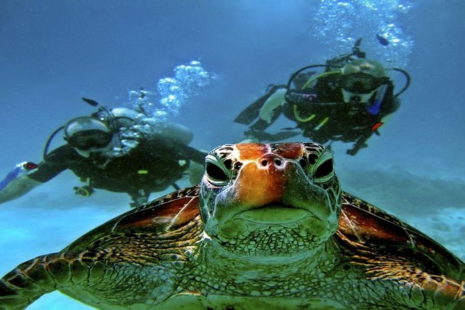 Intro Scuba Diving Beginners Full Day Boat Trip 2 Stops Diving & Lunch– Hurghada - Inclusions and Exclusions