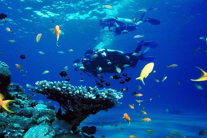 Intro Scuba Diving Beginners Full Day Boat Trip 2 Stops Diving & Lunch– Hurghada - Additional Information for Travelers