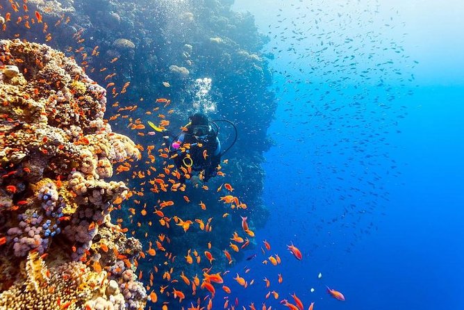 Intro Scuba Diving Beginners Full Day Boat Trip 2 Stops Diving & Lunch– Hurghada - Tour Group Size
