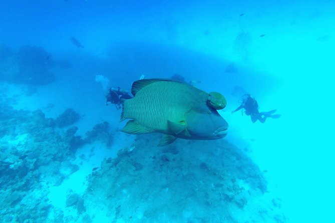 Intro Scuba Diving - Hurghada as a Diving Destination
