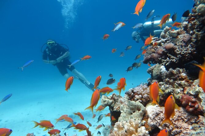 Intro Scuba Diving - Transportation and Pickup Service