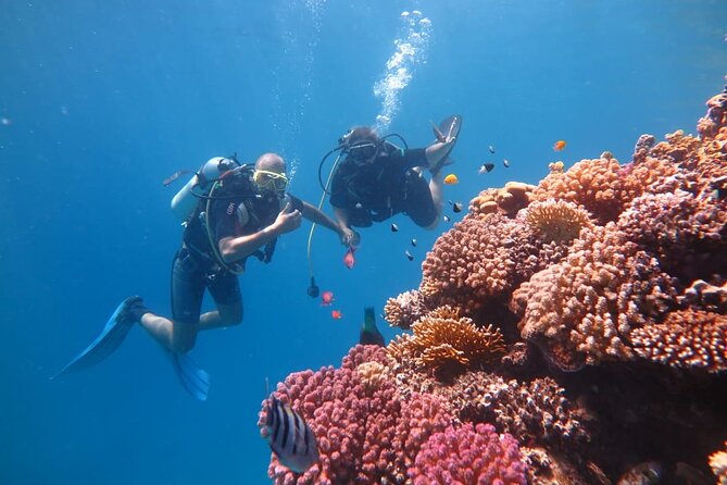 Intro Scuba Diving - Booking and Cancellation Policy