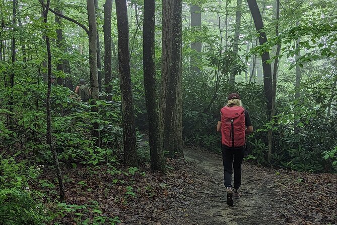 Intro to Camping - Health and Accessibility Information