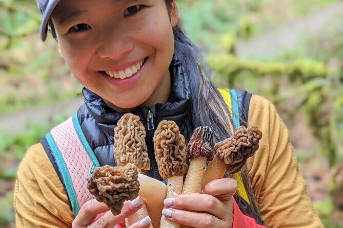 Intro to Seattle Mushroom Foraging - Key Points from the Mushroom Foraging Tour