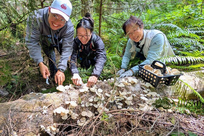 Intro to Seattle Mushroom Foraging - The Experience in Practice: Real Traveler Feedback