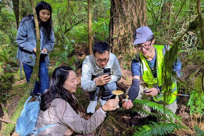 Intro to Seattle Mushroom Foraging - The Sum Up: Why You Should Consider This Mushroom Foraging Tour