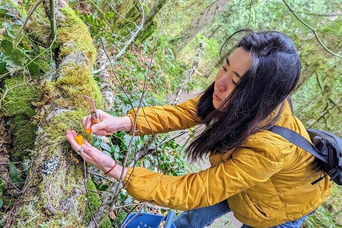 Intro to Seattle Mushroom Foraging - FAQ