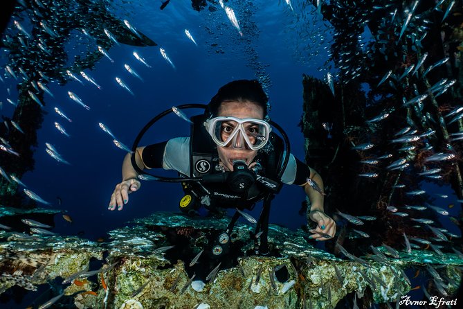 Introduction Diving at Coral Reef With Instructor - 40 Minutes - Amenities and Services Provided