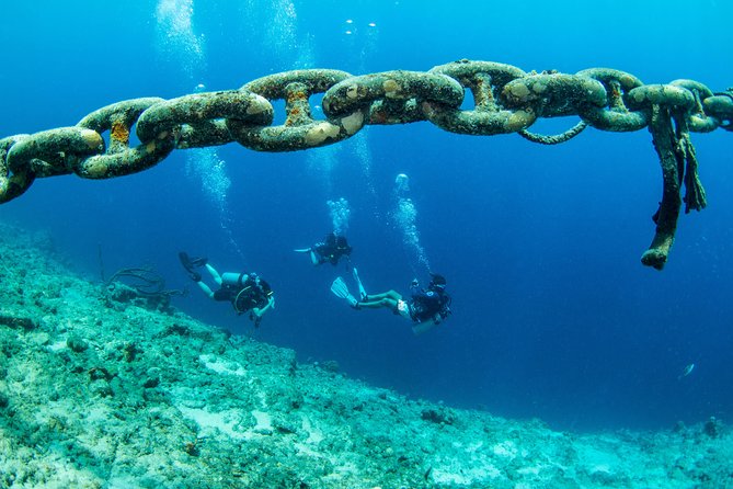 Introduction Shore Dive With Scubaçao (1 Dive) - Included Equipment and Logistics