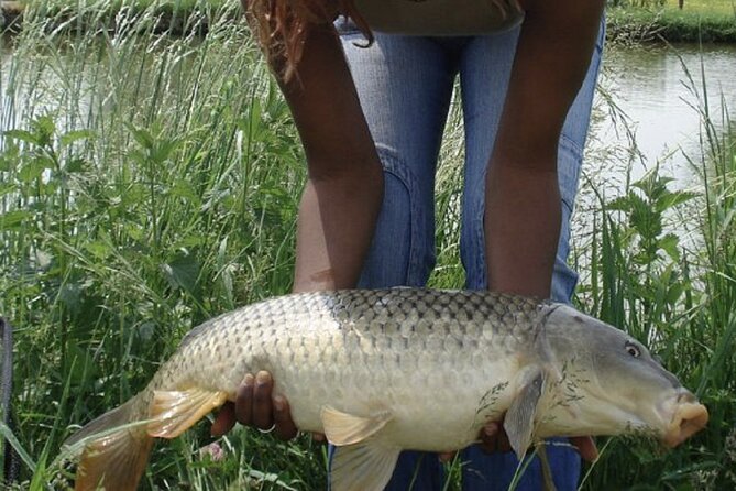 Introduction to Fishing in Strasbourg - Accessibility and Cancellation