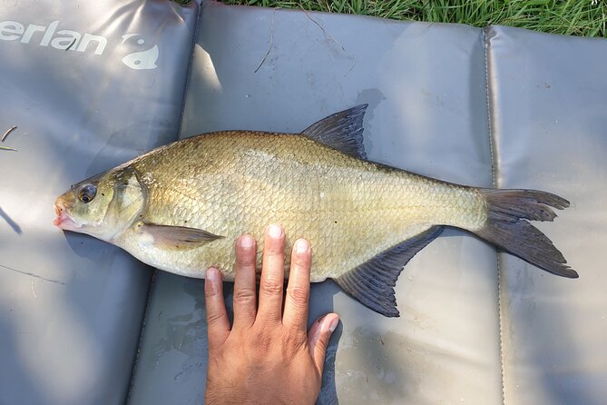Introduction to Fishing in Strasbourg - Customer Feedback and Ratings