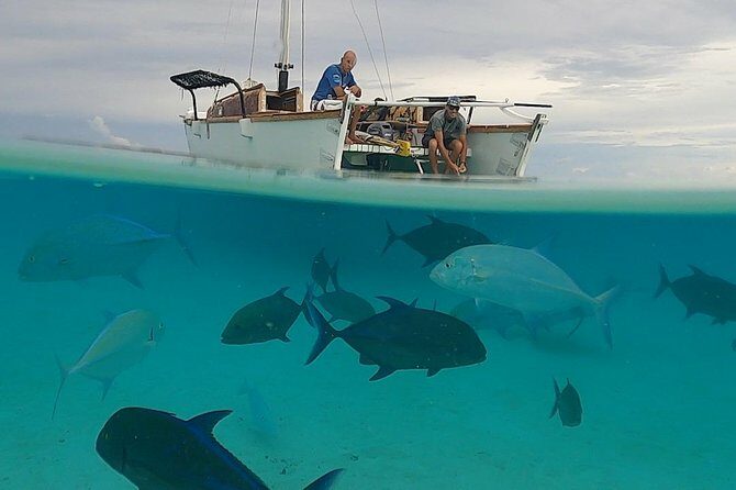 Introduction to sailing and discovering the lagoon - Final Thoughts