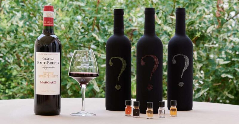 Introduction to Wine Tasting With the Flavours Game - Guided by a Wine Expert