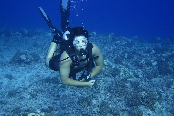 Introductory Beach Scuba Dive - Booking and Cancellation Policy