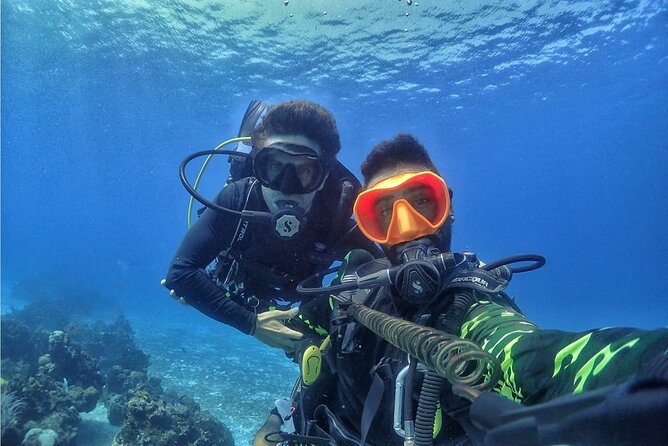 Introductory Diving Class in the Cozumel Reefs - Meeting and Pickup Arrangements