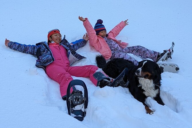 Introductory Snowshoe Shared Experience - Key Points