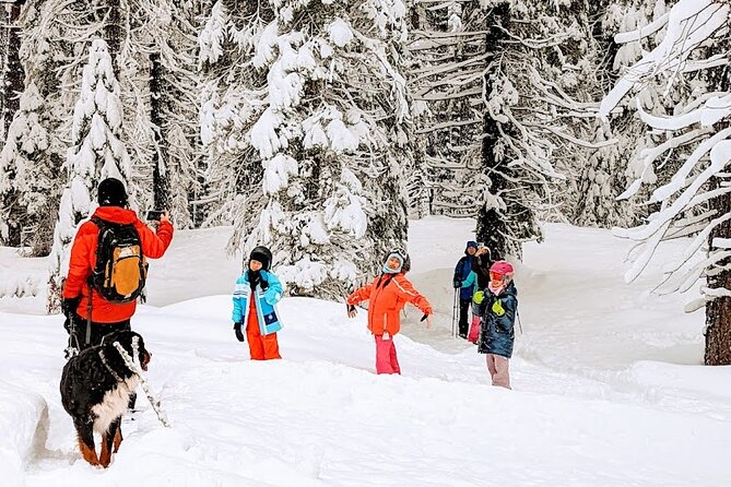 Introductory Snowshoe Shared Experience - Booking Information
