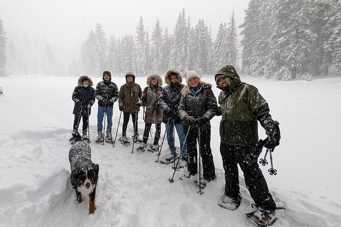 Introductory Snowshoe Shared Experience - Reviews and Ratings