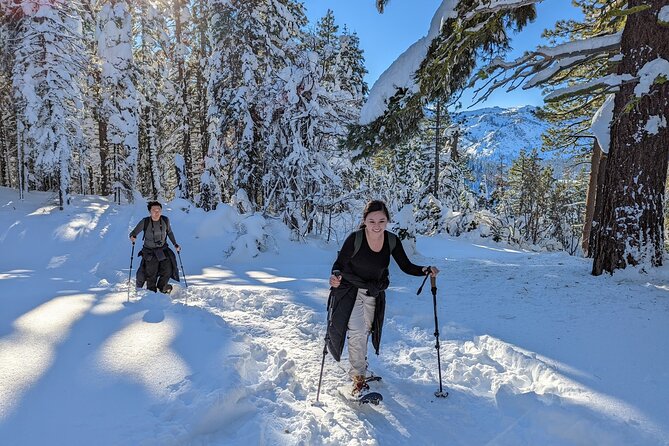 Introductory Snowshoe Shared Experience - Location Access