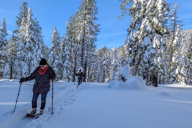 Introductory Snowshoe Shared Experience - Preparing for the Adventure