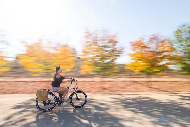Introductory Wine Tour of Paso Robles on Electric Bikes - Tour Overview