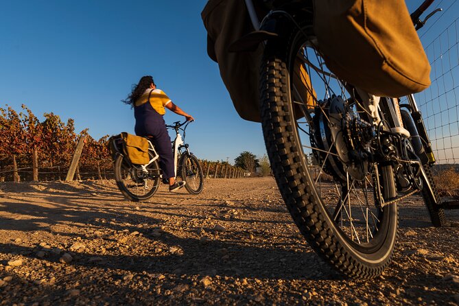 Introductory Wine Tour of Paso Robles on Electric Bikes - Guided Winery Visit