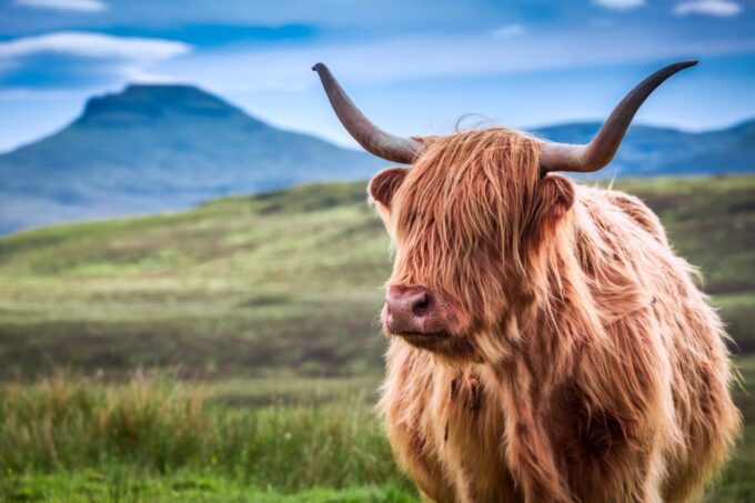 Inverness: Isle of Skye and Eilean Donan Castle Day Trip - Frequently Asked Questions
