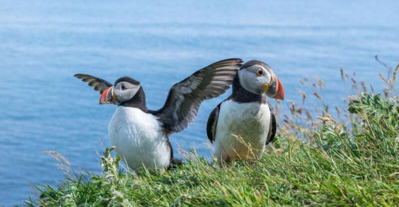 Inverness: Moray Coast, Wildlife and Speyside Whisky Tour - Itinerary Highlights