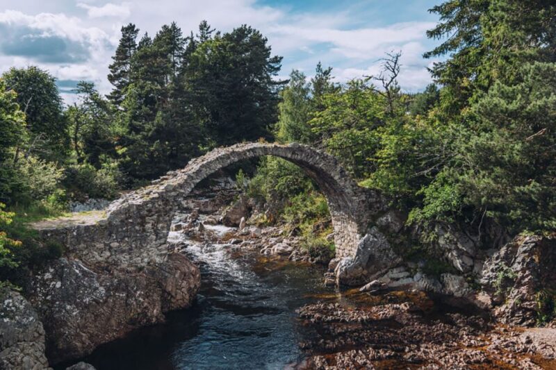 Inverness: Moray Coast, Wildlife and Speyside Whisky Tour - Customer Feedback